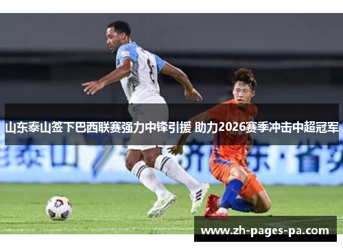 山东泰山签下巴西联赛强力中锋引援 助力2026赛季冲击中超冠军 山东泰山签下巴西联赛强力中锋引援 助力2026赛季冲击中超冠军